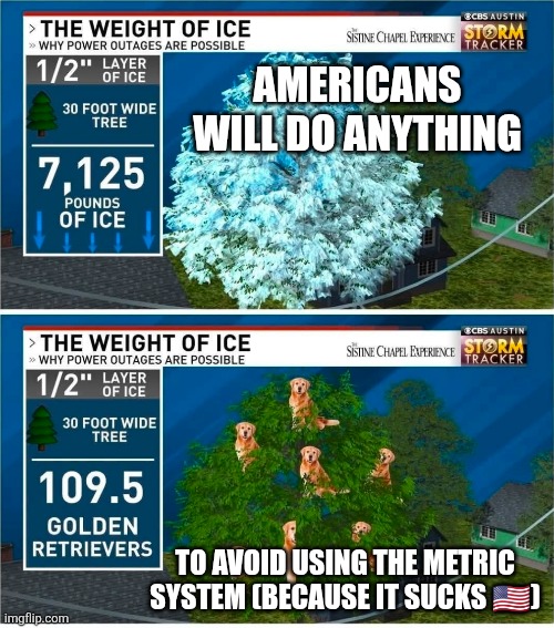 Weight in Golden Retrievers | AMERICANS WILL DO ANYTHING; TO AVOID USING THE METRIC SYSTEM (BECAUSE IT SUCKS 🇺🇲) | image tagged in dogs,ice,weight,metric system,tree,winter storm | made w/ Imgflip meme maker