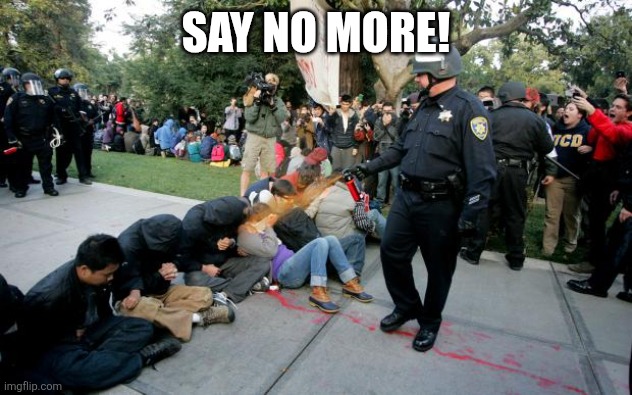 Pepper Spraying Cop UC Davis | SAY NO MORE! | image tagged in pepper spraying cop uc davis | made w/ Imgflip meme maker