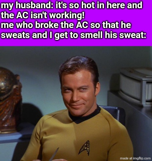 Kirk Smirk | my husband: it's so hot in here and 
the AC isn't working!
me who broke the AC so that he 
sweats and I get to smell his sweat: | image tagged in kirk smirk | made w/ Imgflip meme maker
