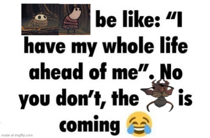 made w/ Imgflip meme maker