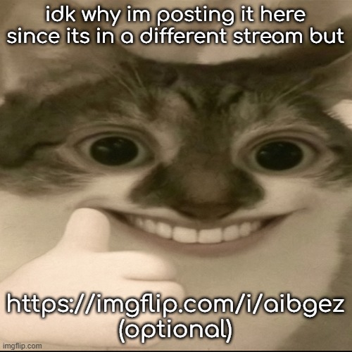 bombastic side eye cat v3 | idk why im posting it here since its in a different stream but; https://imgflip.com/i/aibgez (optional) | image tagged in bombastic side eye cat v3 | made w/ Imgflip meme maker