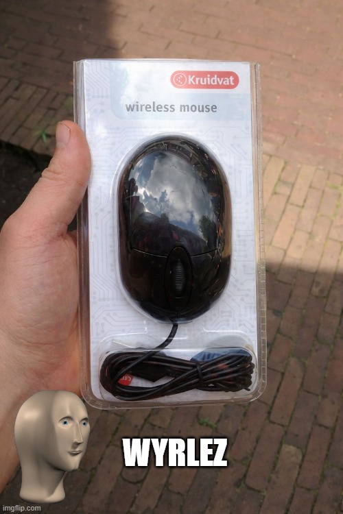 Wireless? | WYRLEZ | image tagged in you had one job | made w/ Imgflip meme maker