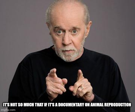 george carlin | IT'S NOT SO MUCH THAT IF IT'S A DOCUMENTARY ON ANIMAL REPRODUCTION | image tagged in george carlin | made w/ Imgflip meme maker