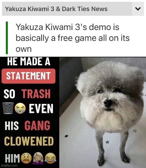 image tagged in he made a statement so trash | made w/ Imgflip meme maker