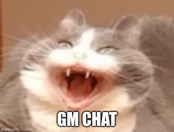 cat | GM CHAT | image tagged in cat | made w/ Imgflip meme maker
