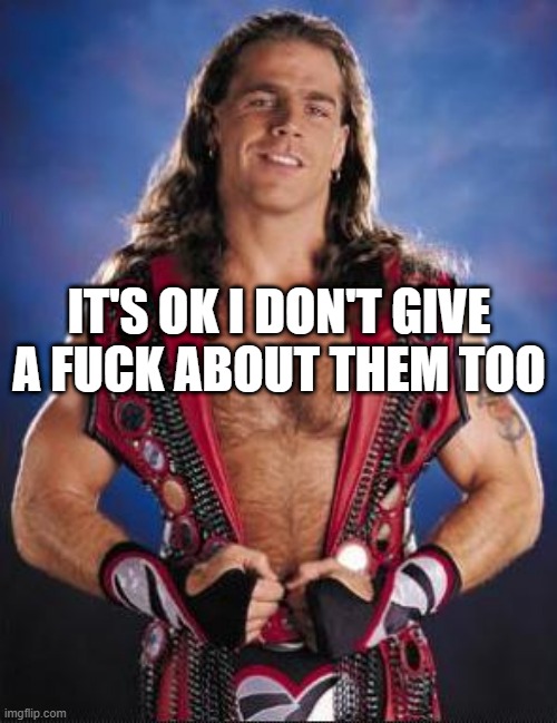 shawn micheals | IT'S OK I DON'T GIVE A FUCK ABOUT THEM TOO | image tagged in shawn micheals | made w/ Imgflip meme maker