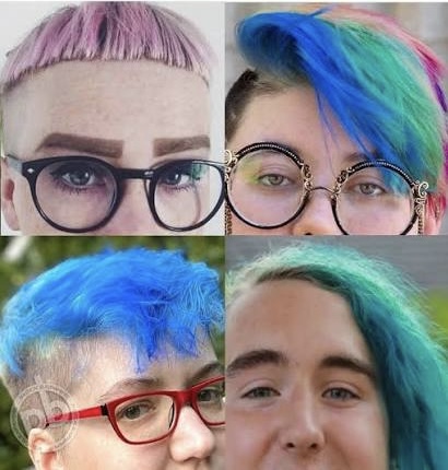 Domestic Terrorists Blank Meme Template