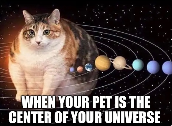 PETAverse | WHEN YOUR PET IS THE CENTER OF YOUR UNIVERSE | image tagged in pets,priorities,universe | made w/ Imgflip meme maker