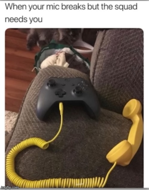 gotta do what you gotta do for the squad | image tagged in mic,gaming,phone,telephone,controller,clutch | made w/ Imgflip meme maker
