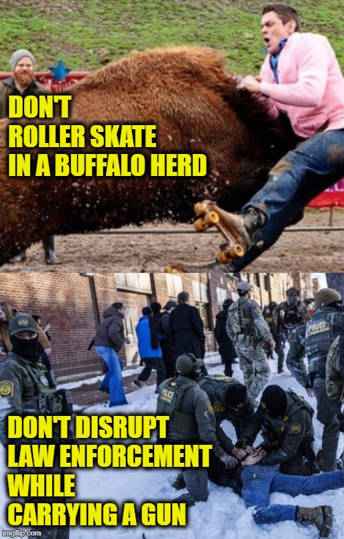 Common sense should be easy | DON'T
ROLLER SKATE
IN A BUFFALO HERD; DON'T DISRUPT
LAW ENFORCEMENT
WHILE 
CARRYING A GUN | image tagged in common sense | made w/ Imgflip meme maker