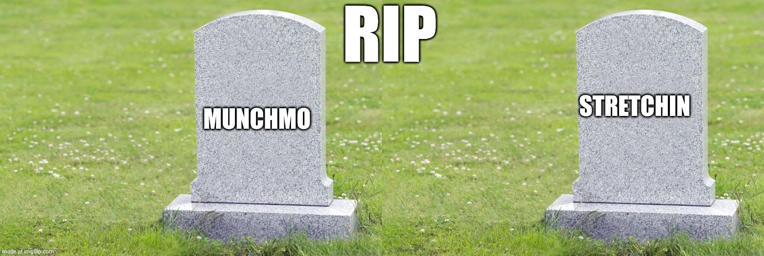 RIP | RIP; STRETCHIN; MUNCHMO | image tagged in ded,rip,munchmo the mantis,stretchin the spider,lixiki the bee,dead | made w/ Imgflip meme maker