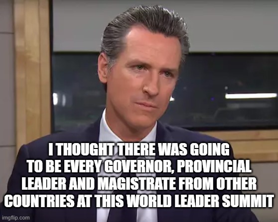 Governor California | I THOUGHT THERE WAS GOING TO BE EVERY GOVERNOR, PROVINCIAL LEADER AND MAGISTRATE FROM OTHER COUNTRIES AT THIS WORLD LEADER SUMMIT | image tagged in governor california | made w/ Imgflip meme maker