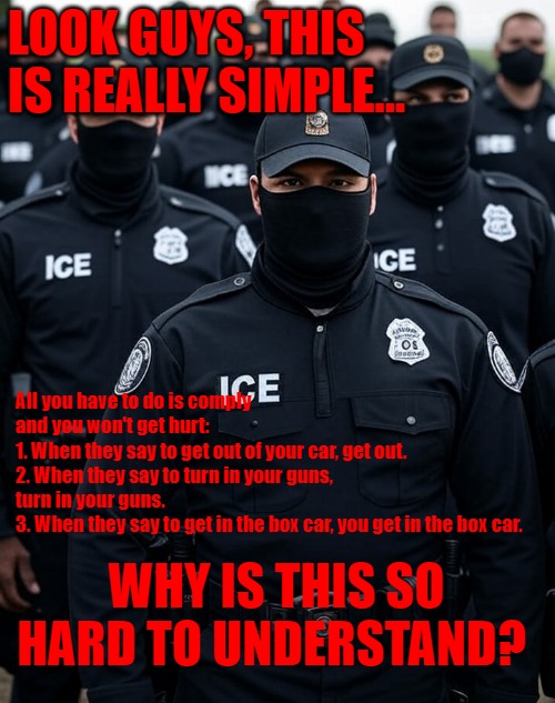 What is so hard to understand? | LOOK GUYS, THIS IS REALLY SIMPLE... All you have to do is comply and you won't get hurt: 
1. When they say to get out of your car, get out. 
2. When they say to turn in your guns, turn in your guns. 
3. When they say to get in the box car, you get in the box car. WHY IS THIS SO HARD TO UNDERSTAND? | image tagged in trump ice agent secret police militia dictatorship,the constitution,liberty,freedom of speech | made w/ Imgflip meme maker