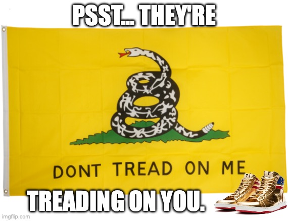 Unless you're a bootlicker and kind of enjoy that sort of thing. | PSST... THEY'RE; TREADING ON YOU. | image tagged in flag dont tread on me,donald trump,fascism,ice agents,second amendment | made w/ Imgflip meme maker