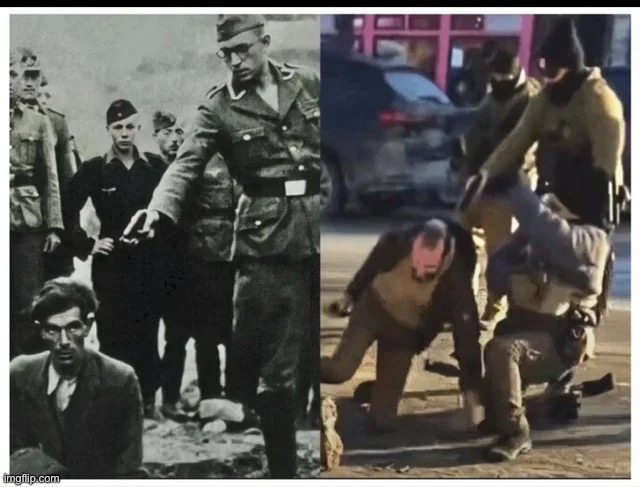 If it looks like a duck…. | image tagged in fascism,ice,murder | made w/ Imgflip meme maker