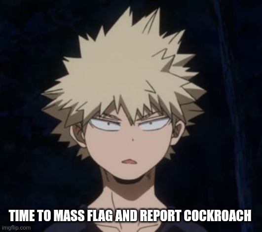 Bakugo's Huh? | TIME TO MASS FLAG AND REPORT COCKROACH | image tagged in bakugo's huh | made w/ Imgflip meme maker