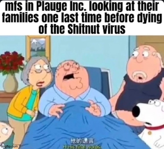 Shitnut | made w/ Imgflip meme maker