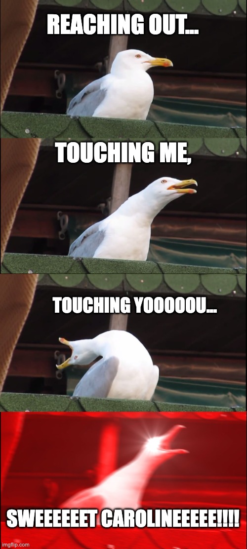 GOOD TIMES HAVE NEVER SEEMED SO GOOD!!!! | REACHING OUT... TOUCHING ME, TOUCHING YOOOOOU... SWEEEEEET CAROLINEEEEE!!!! | image tagged in memes,inhaling seagull | made w/ Imgflip meme maker