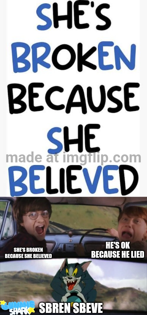 Had nothing to post, so... | HE'S OK BECAUSE HE LIED; SHE'S BROKEN BECAUSE SHE BELIEVED; SBREN SBEVE | image tagged in tom chasing harry and ron weasly,memes,funny | made w/ Imgflip meme maker