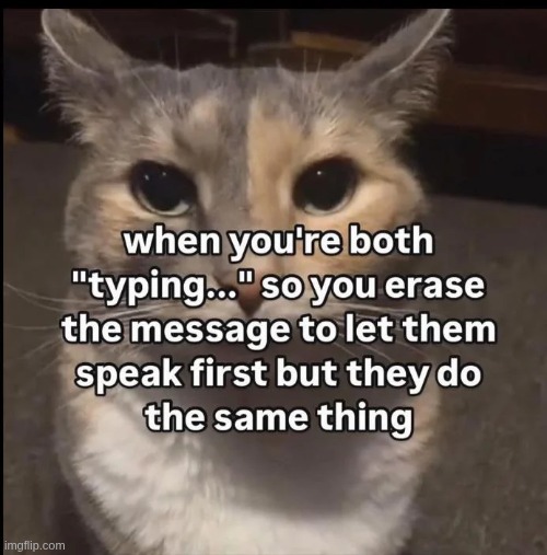 Then you both start typing at the same time again. | made w/ Imgflip meme maker