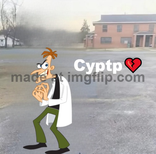 phineas and ferb meme cuz i am bored part 3: THE FINALE | Cyptp💔 | image tagged in blank sybau maker | made w/ Imgflip meme maker