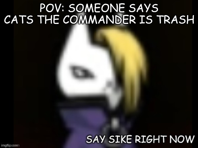 (o_o,,,) What did you say? | POV: SOMEONE SAYS CATS THE COMMANDER IS TRASH | image tagged in izanagi say sike right now | made w/ Imgflip meme maker