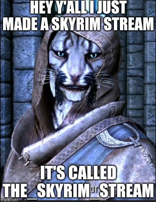 image tagged in skyrim,j'zargo,new stream | made w/ Imgflip meme maker