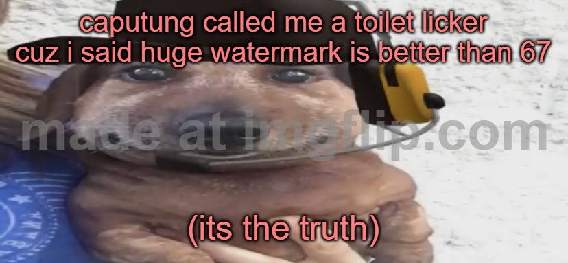 anti brainrot | caputung called me a toilet licker cuz i said huge watermark is better than 67; (its the truth) | image tagged in chucklenuts | made w/ Imgflip meme maker
