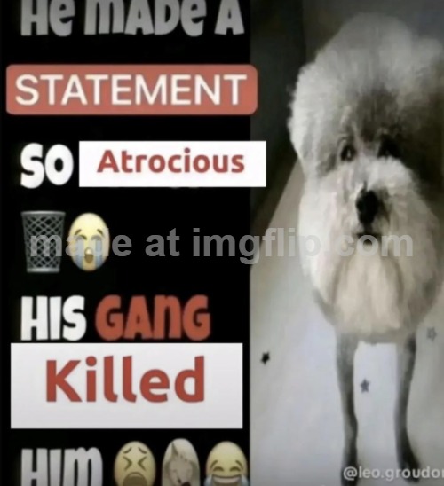 he made a statement so atrocious his gang killed him | image tagged in he made a statement so atrocious his gang killed him | made w/ Imgflip meme maker