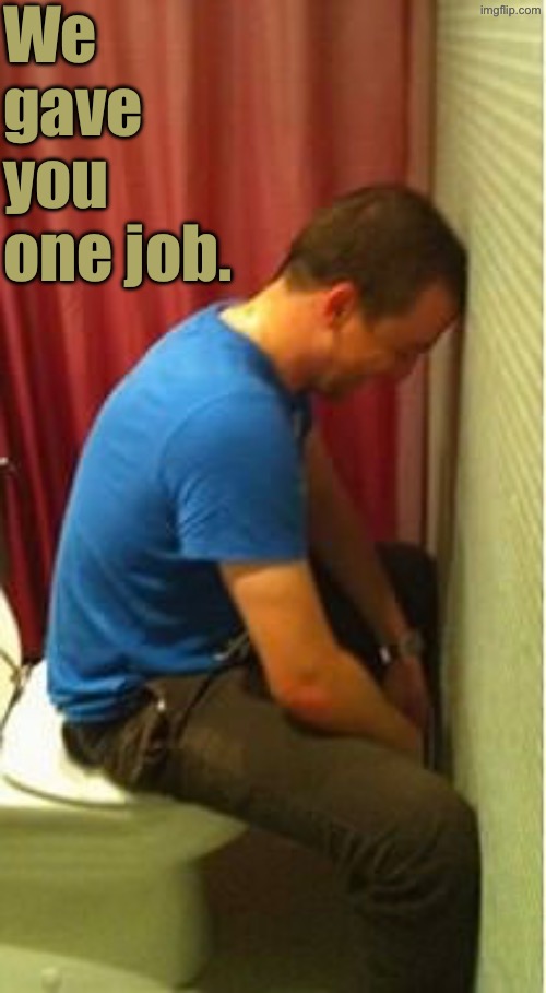 Well This Sucks | We gave you one job. | image tagged in you had one job,task failed successfully,toilets,do you are have stupid,duhhh dumbass,bathrooms | made w/ Imgflip meme maker