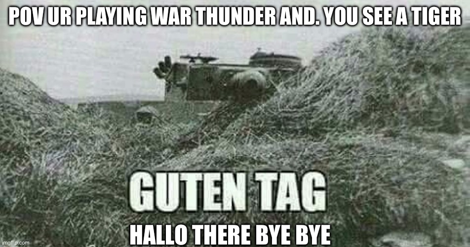 German guten tag tiger | POV UR PLAYING WAR THUNDER AND. YOU SEE A TIGER; HALLO THERE BYE BYE | image tagged in german guten tag tiger | made w/ Imgflip meme maker
