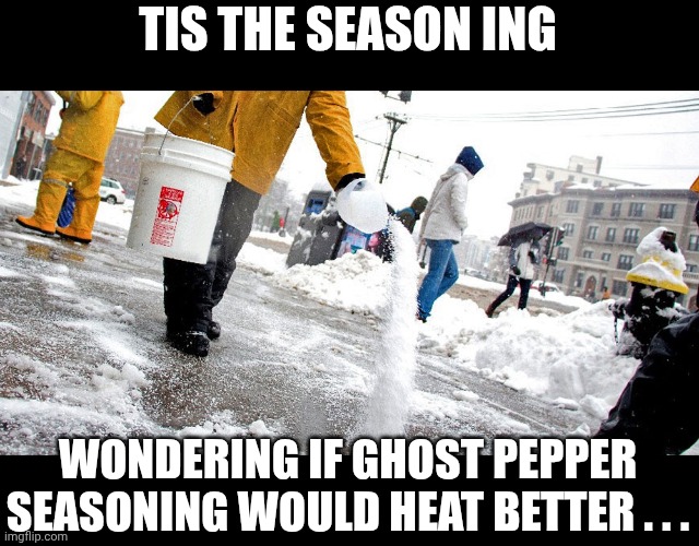 Salting a sidewalk | TIS THE SEASON ING; WONDERING IF GHOST PEPPER SEASONING WOULD HEAT BETTER . . . | image tagged in salting a sidewalk | made w/ Imgflip meme maker