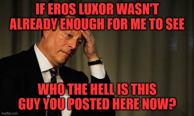 Al Gore Facepalm | IF EROS LUXOR WASN'T ALREADY ENOUGH FOR ME TO SEE; WHO THE HELL IS THIS GUY YOU POSTED HERE NOW? | image tagged in al gore facepalm | made w/ Imgflip meme maker