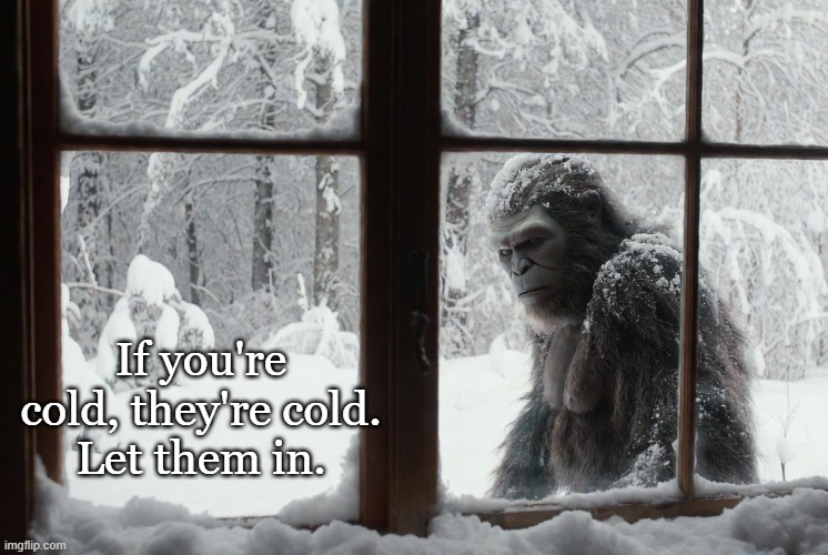 Big heart, Bigfoot. | If you're cold, they're cold.
Let them in. | image tagged in bigfoot,snow day,funny memes | made w/ Imgflip meme maker