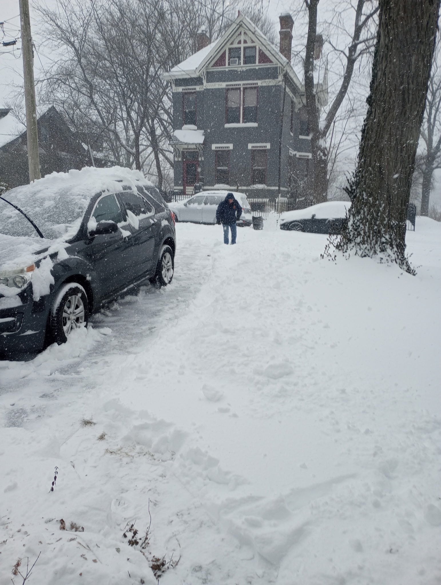 Too much snow. Blank Meme Template