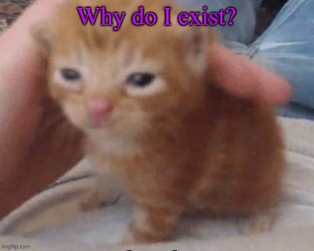 Herbert | Why do I exist? | image tagged in herbert | made w/ Imgflip meme maker
