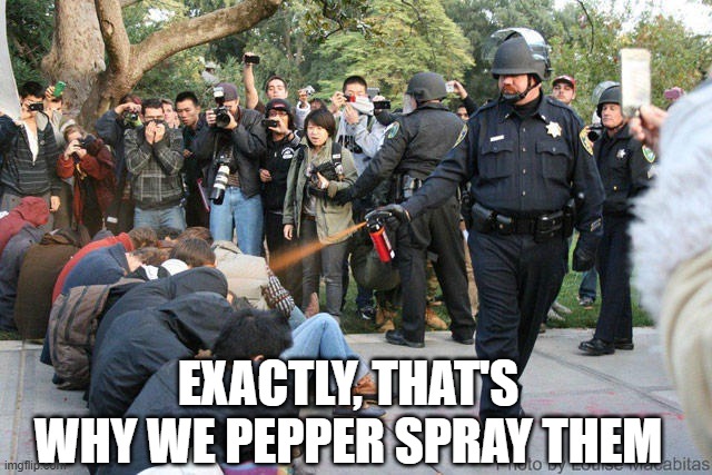 Pepper spray cop | EXACTLY, THAT'S WHY WE PEPPER SPRAY THEM | image tagged in pepper spray cop | made w/ Imgflip meme maker