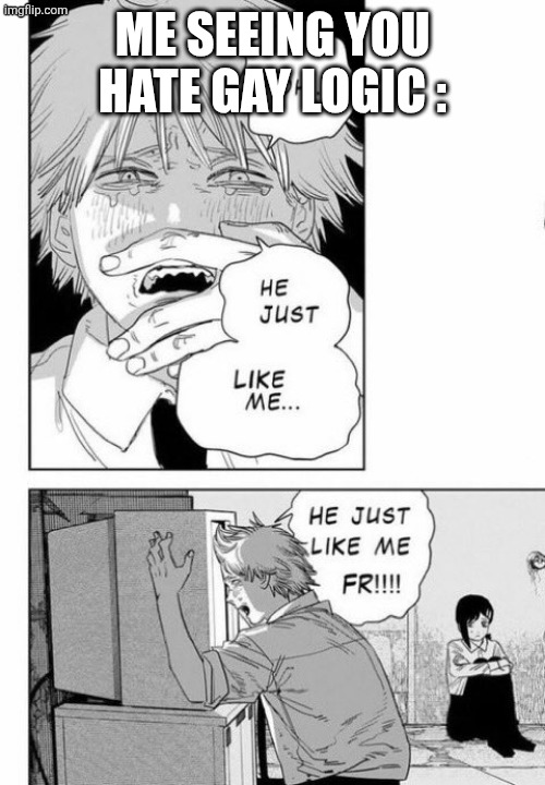 He just like me fr fr | ME SEEING YOU HATE GAY LOGIC : | image tagged in he just like me fr fr | made w/ Imgflip meme maker