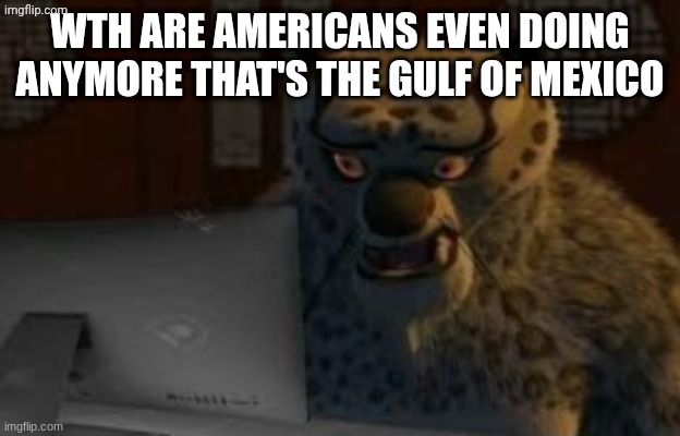 Tai Lung at the computer | WTH ARE AMERICANS EVEN DOING ANYMORE THAT'S THE GULF OF MEXICO | image tagged in tai lung at the computer | made w/ Imgflip meme maker