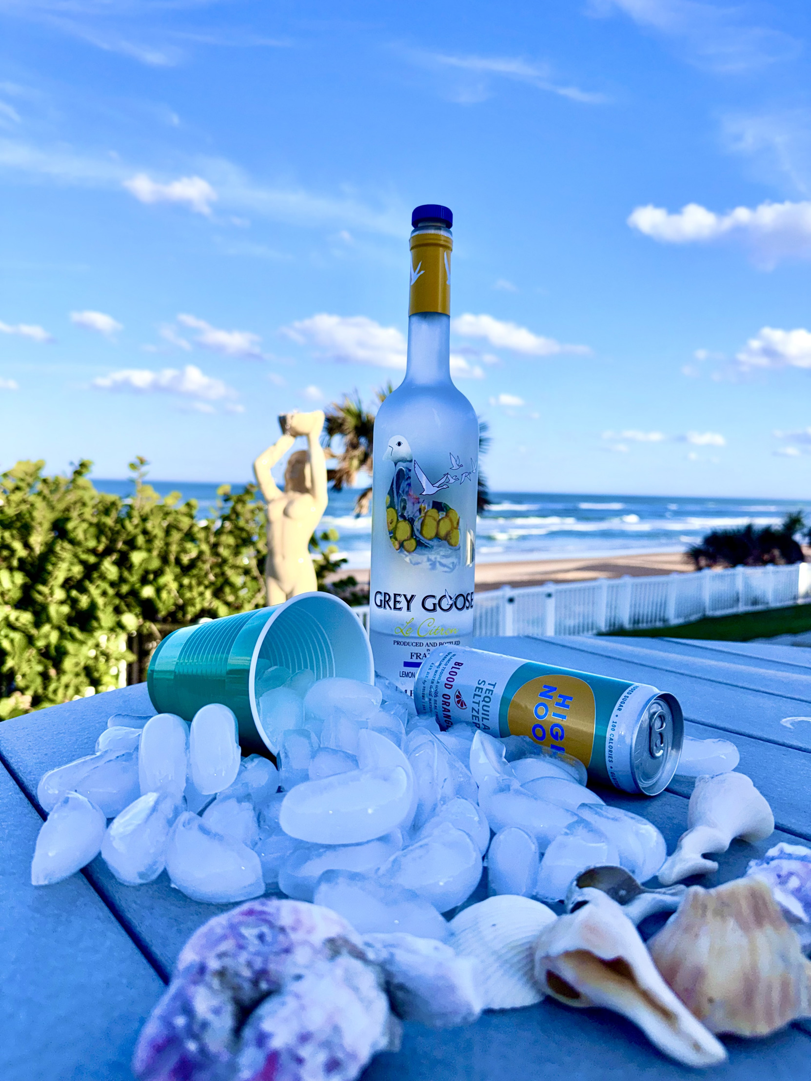 Daytona Beach Ice Storm 2026 Blank Meme Template