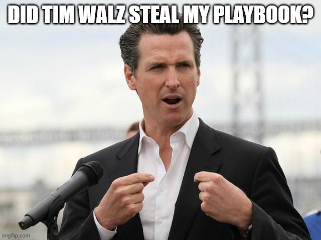 gavin newsome | DID TIM WALZ STEAL MY PLAYBOOK? | image tagged in gavin newsome | made w/ Imgflip meme maker