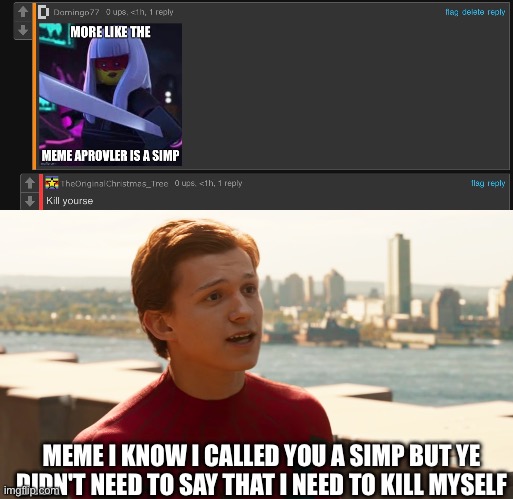 Who's fault is it | MEME I KNOW I CALLED YOU A SIMP BUT YE DIDN'T NEED TO SAY THAT I NEED TO KILL MYSELF | image tagged in tom holland spider-man | made w/ Imgflip meme maker