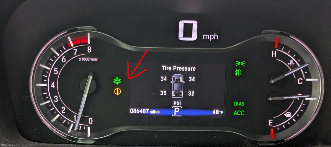 pineapple | made w/ Imgflip meme maker