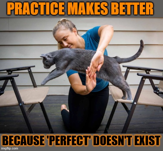 This #lolcat wonders if 'perfect' exists | PRACTICE MAKES BETTER; BECAUSE 'PERFECT' DOESN'T EXIST | image tagged in perfect,lolcat,wisdom | made w/ Imgflip meme maker