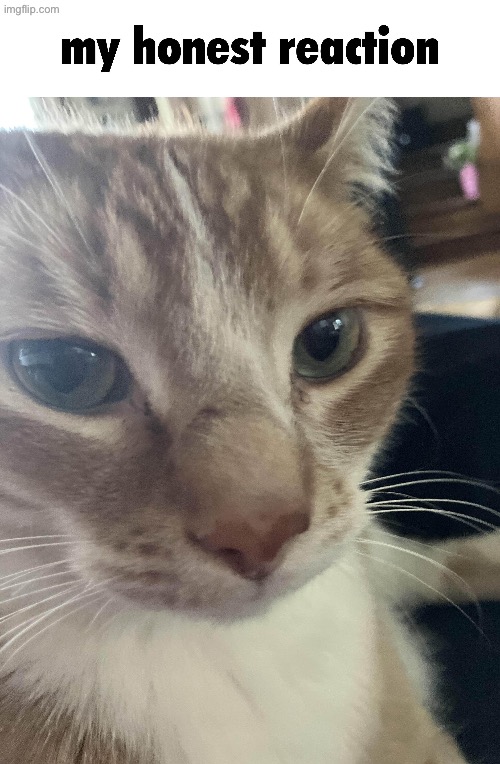 Scarf jumpscare | made w/ Imgflip meme maker