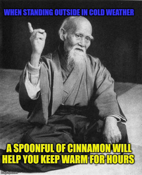 Wise tips from the ancient orient | WHEN STANDING OUTSIDE IN COLD WEATHER; A SPOONFUL OF CINNAMON WILL HELP YOU KEEP WARM FOR HOURS | image tagged in wise master,cold weather,severe cold,prevent hypothermia,ancient recipes | made w/ Imgflip meme maker