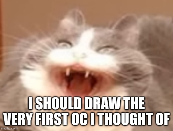 cat | I SHOULD DRAW THE VERY FIRST OC I THOUGHT OF | image tagged in cat | made w/ Imgflip meme maker