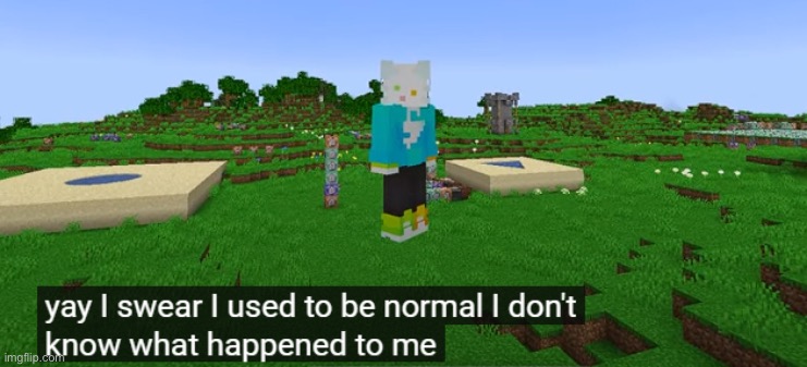 I swear I used to be normal I don't know what happened to me | image tagged in i swear i used to be normal i don't know what happened to me | made w/ Imgflip meme maker