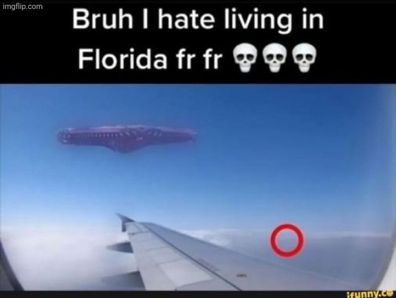 Bruh I hate living in Florida fr fr | image tagged in bruh i hate living in florida fr fr | made w/ Imgflip meme maker