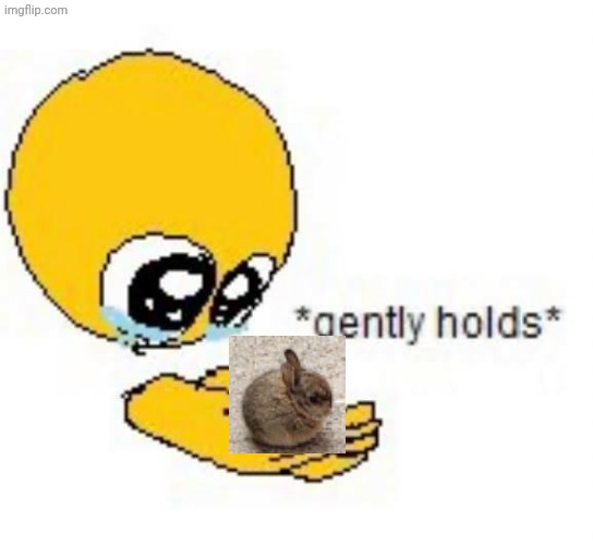 Gently holds emoji | image tagged in gently holds emoji | made w/ Imgflip meme maker
